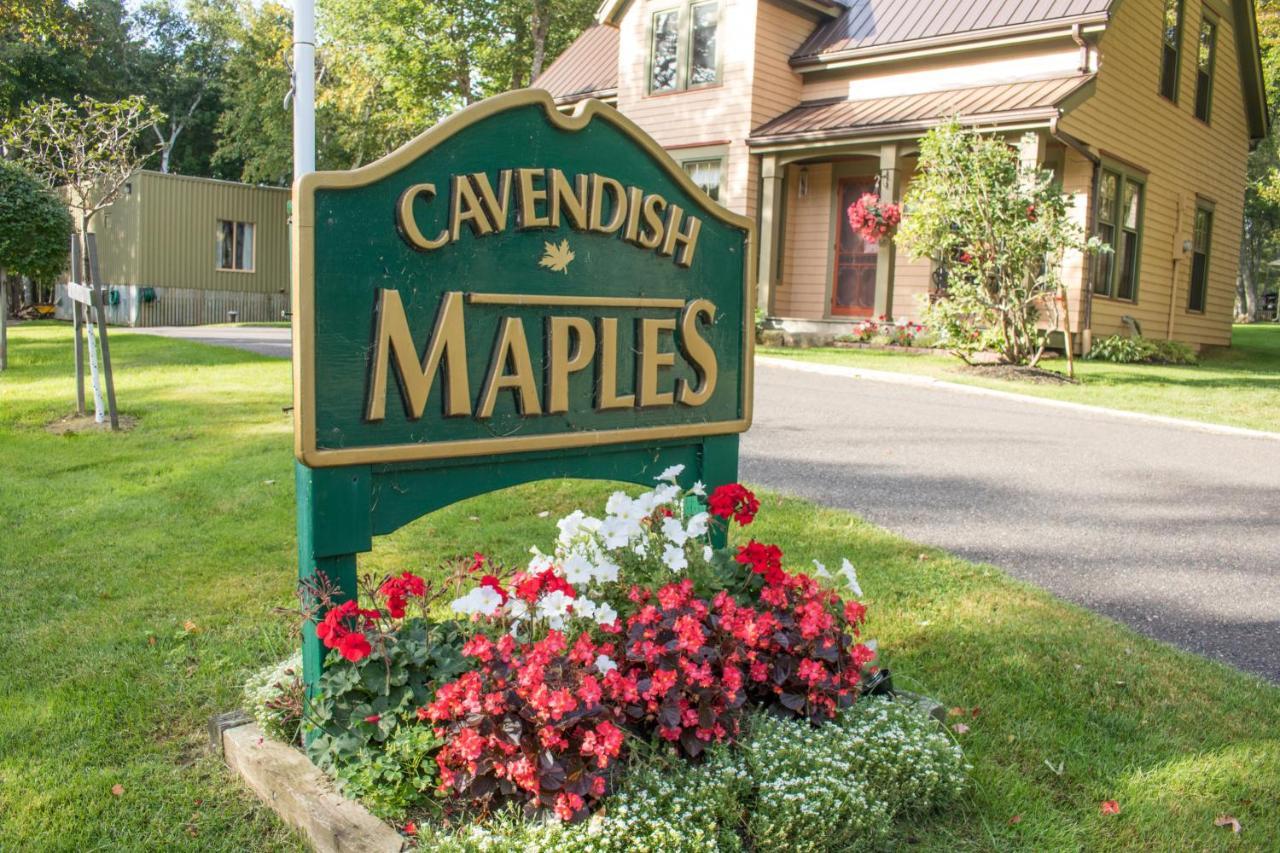 Cavendish Maples Cottages Exterior photo